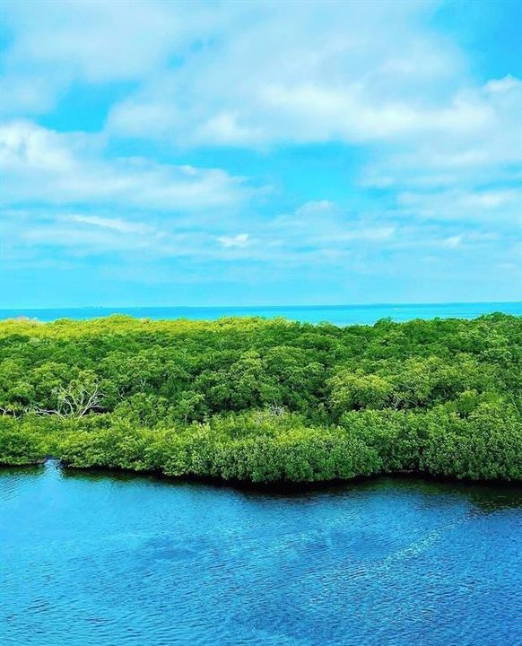 For Sale: $729,900 (3 beds, 2 baths, 1866 Square Feet)