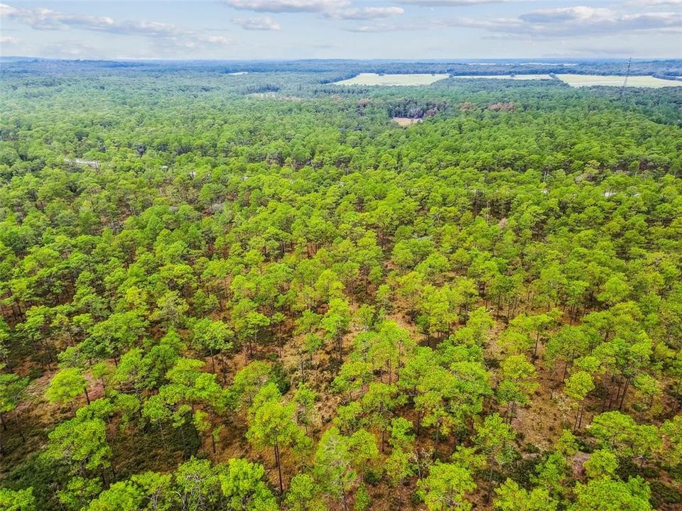 待售: $609,900 (4 贝兹, 2 浴室, 2489 平方英尺)