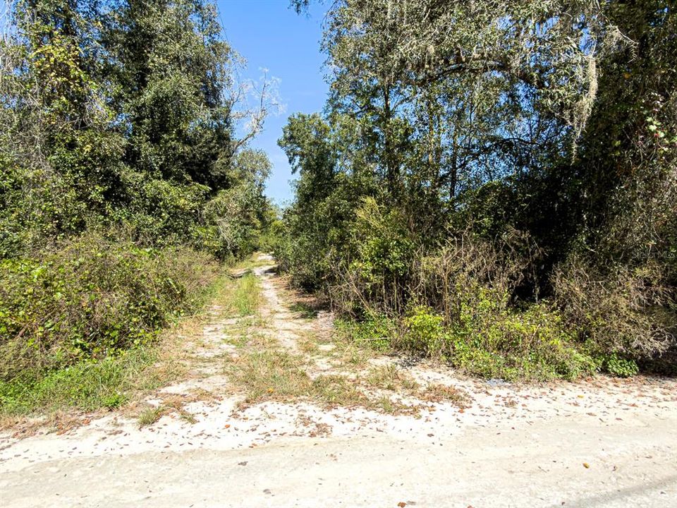 For Sale: $799,000 (39.50 acres)