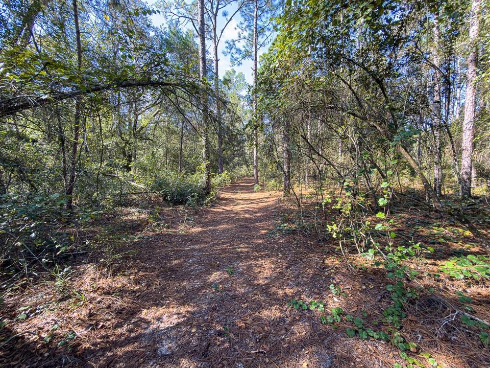 For Sale: $799,000 (39.50 acres)