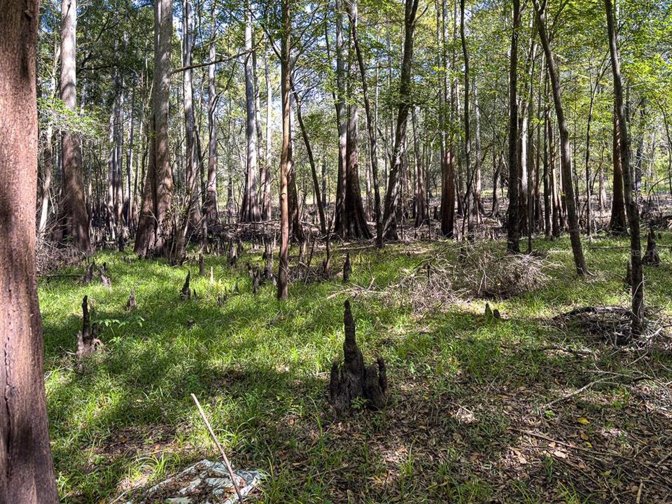 For Sale: $799,000 (39.50 acres)