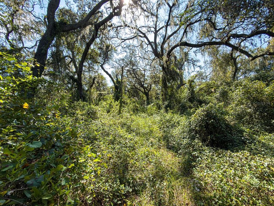 For Sale: $799,000 (39.50 acres)