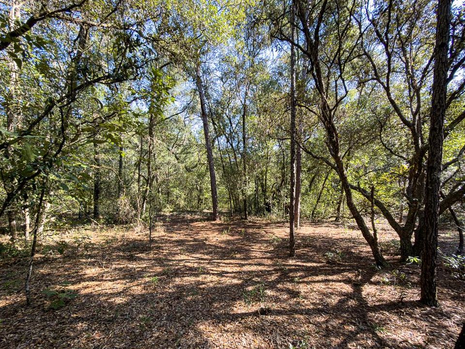 For Sale: $799,000 (39.50 acres)