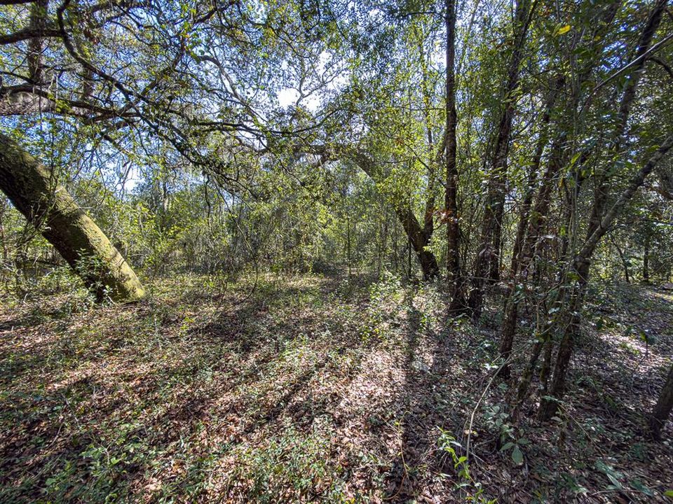 For Sale: $799,000 (39.50 acres)