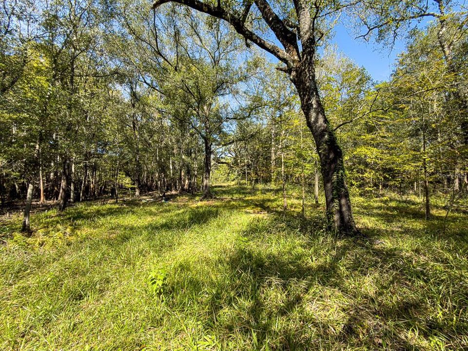 For Sale: $799,000 (39.50 acres)