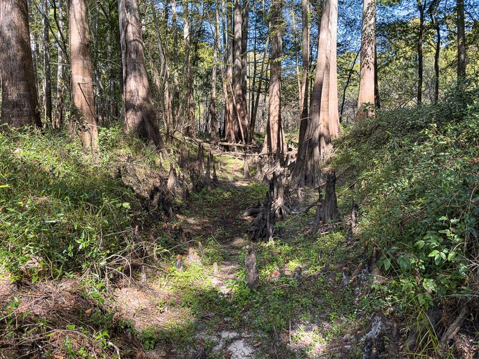 For Sale: $799,000 (39.50 acres)