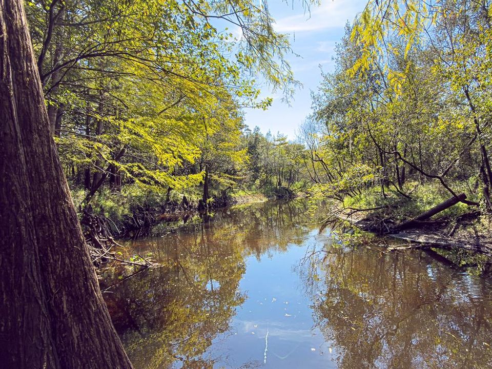 For Sale: $799,000 (39.50 acres)