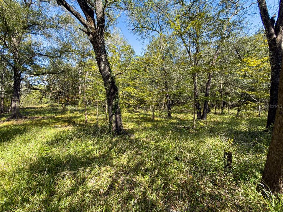 For Sale: $799,000 (39.50 acres)