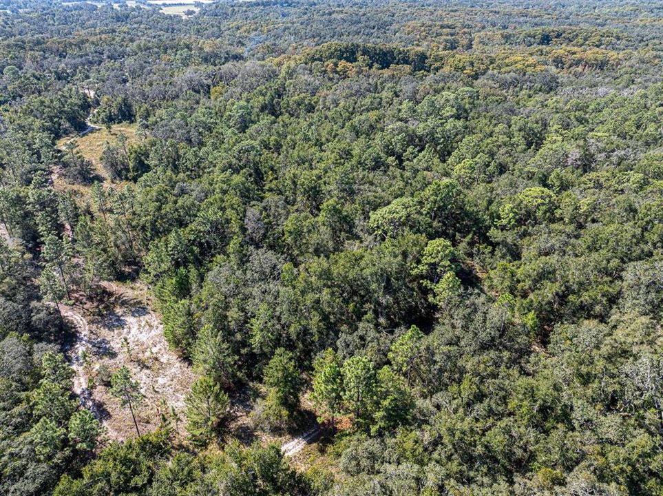 For Sale: $799,000 (39.50 acres)