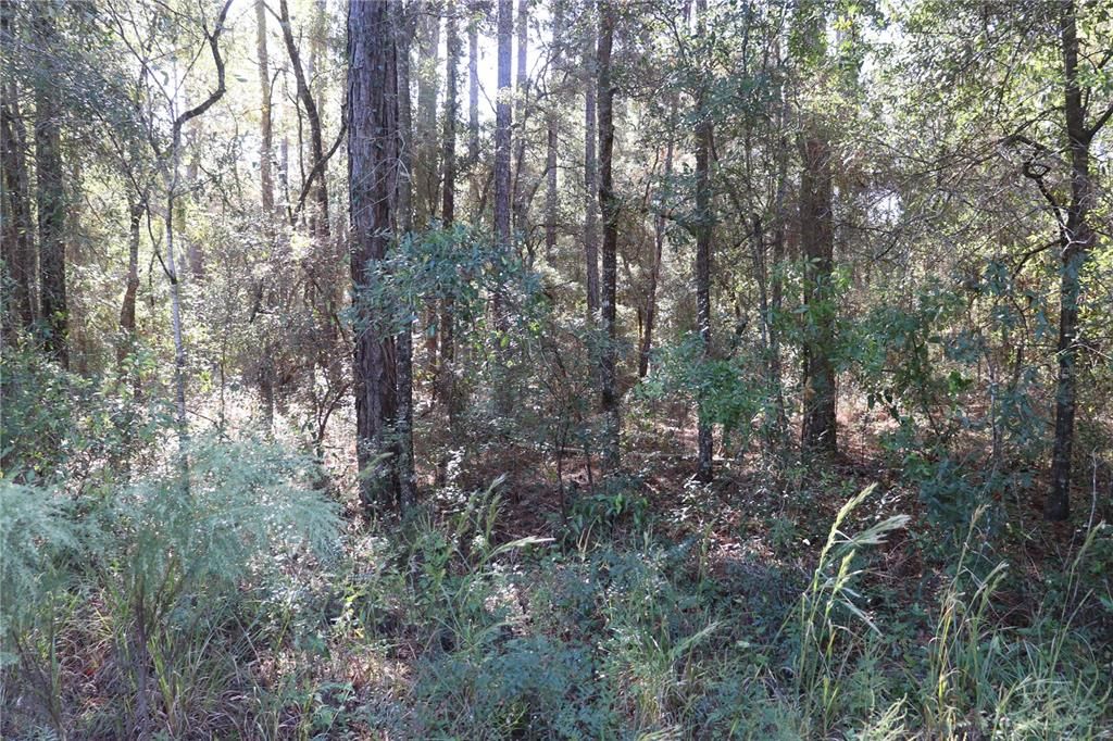 待售: $33,500 (0.92 acres)