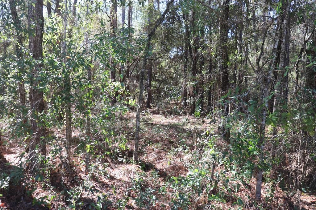 待售: $33,500 (0.92 acres)