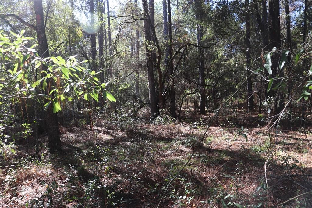 待售: $33,500 (0.92 acres)