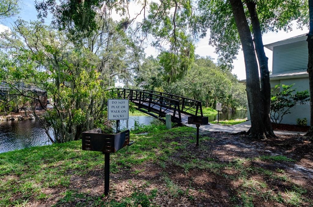 待售: $100,000 (1 贝兹, 1 浴室, 504 平方英尺)