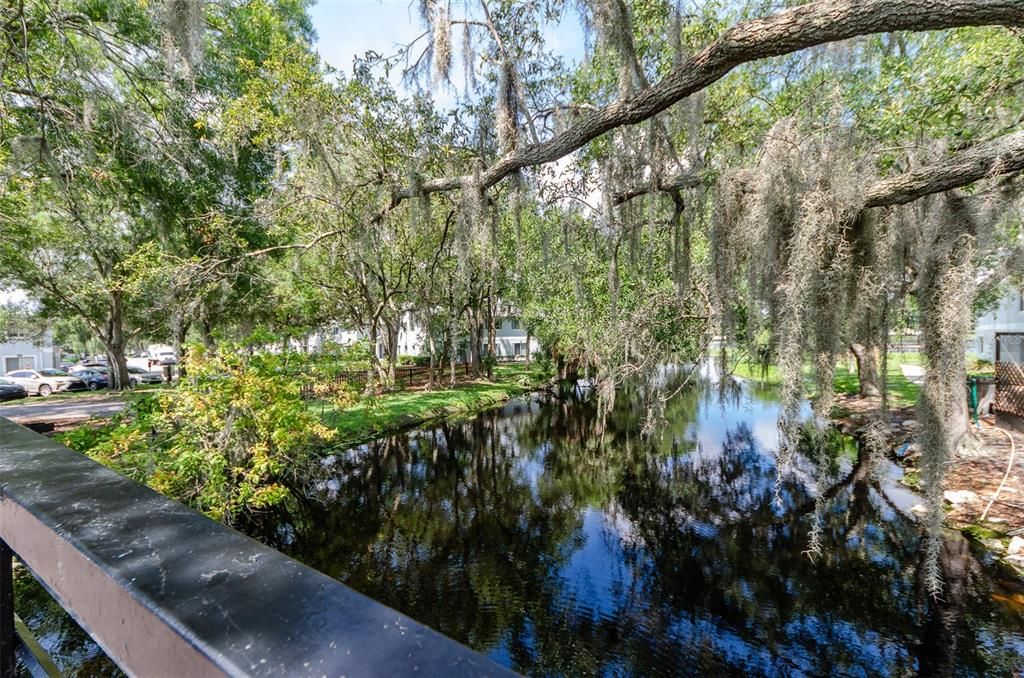 待售: $100,000 (1 贝兹, 1 浴室, 504 平方英尺)