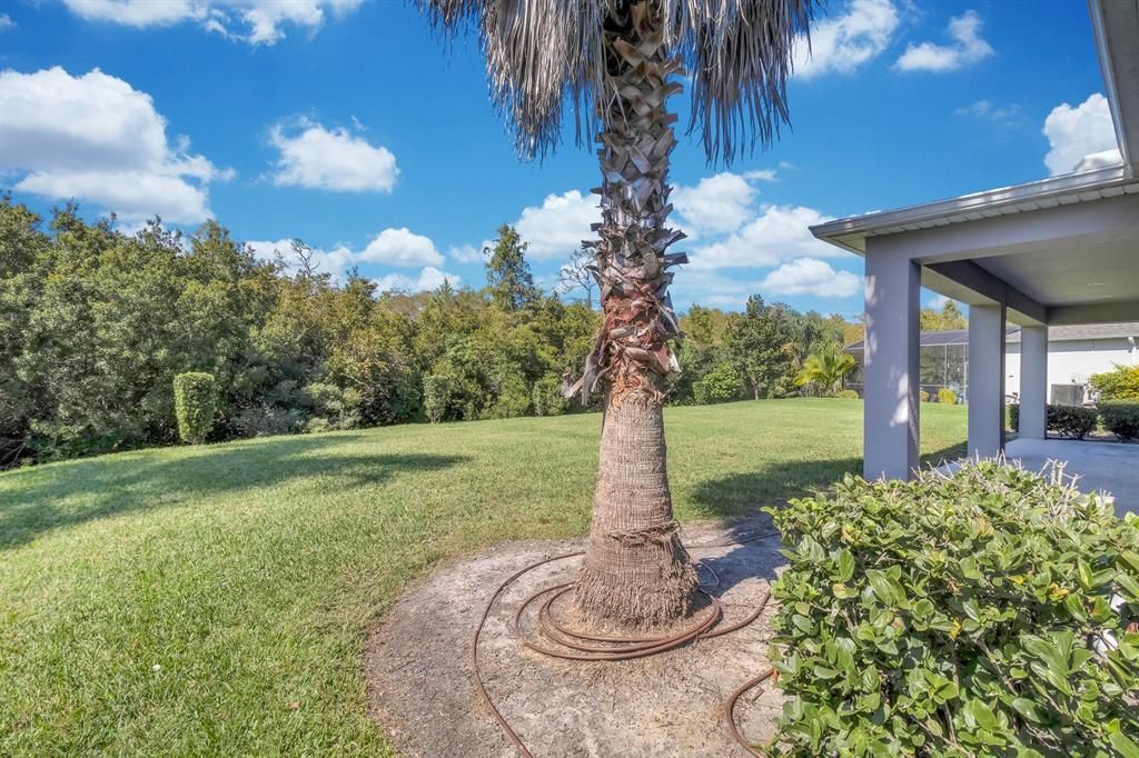 For Sale: $725,000 (5 beds, 3 baths, 4200 Square Feet)