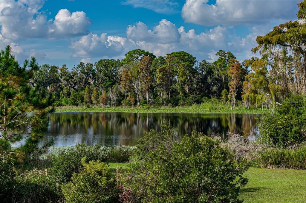 For Sale: $675,000 (4 beds, 3 baths, 2313 Square Feet)