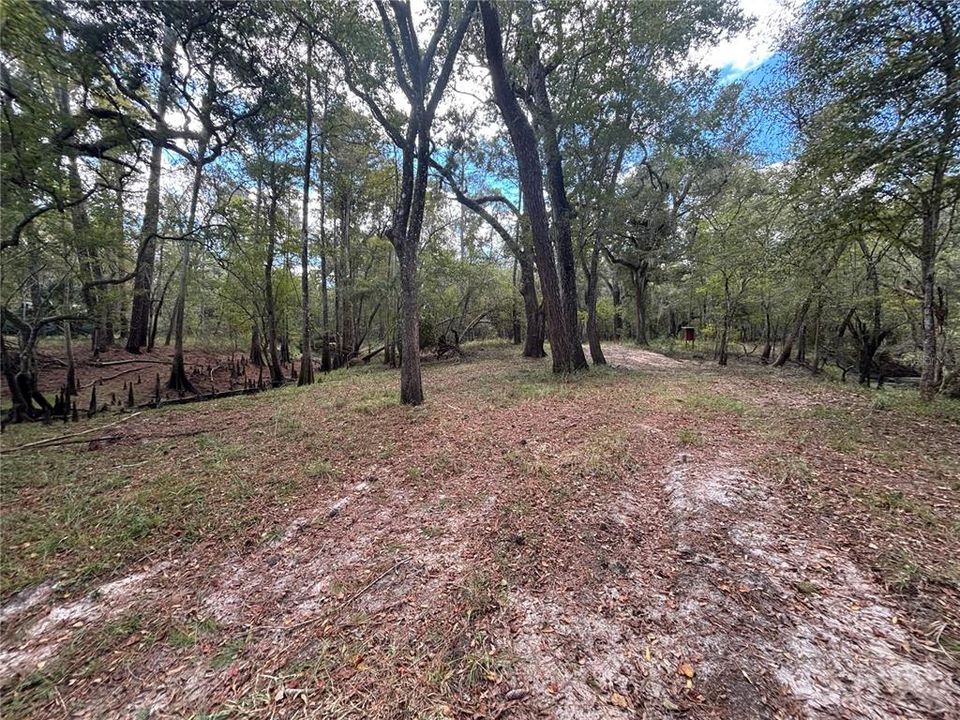For Sale: $120,000 (0.61 acres)
