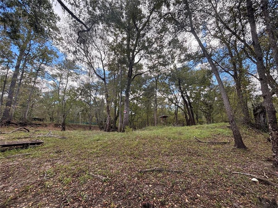 For Sale: $120,000 (0.61 acres)