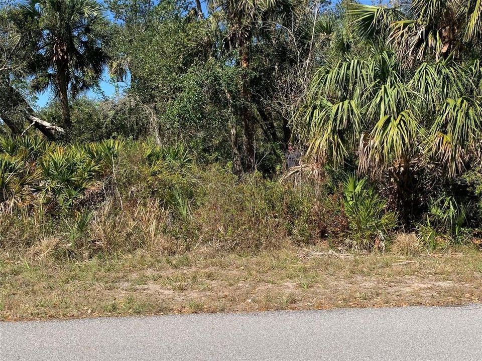 For Sale: $11,900 (0.23 acres)