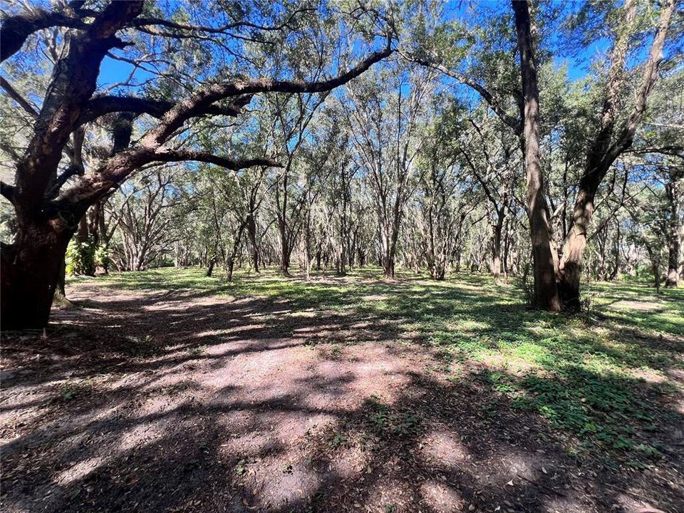 En Venta: $595,000 (3 camas, 2 baños, 2365 Pies cuadrados)