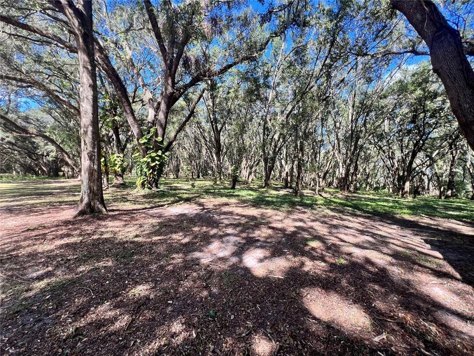 En Venta: $595,000 (3 camas, 2 baños, 2365 Pies cuadrados)