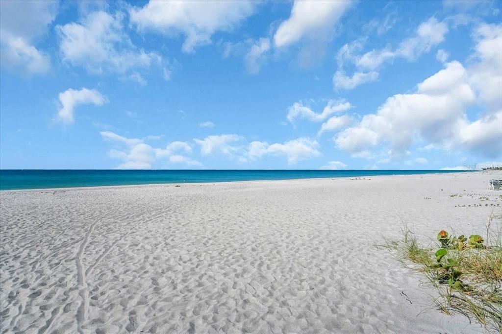 待售: $575,000 (1 贝兹, 1 浴室, 520 平方英尺)