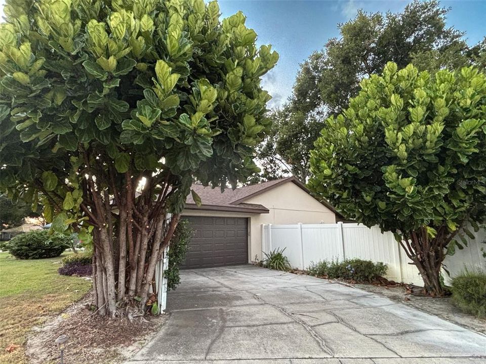 For Sale: $545,000 (3 beds, 2 baths, 1513 Square Feet)