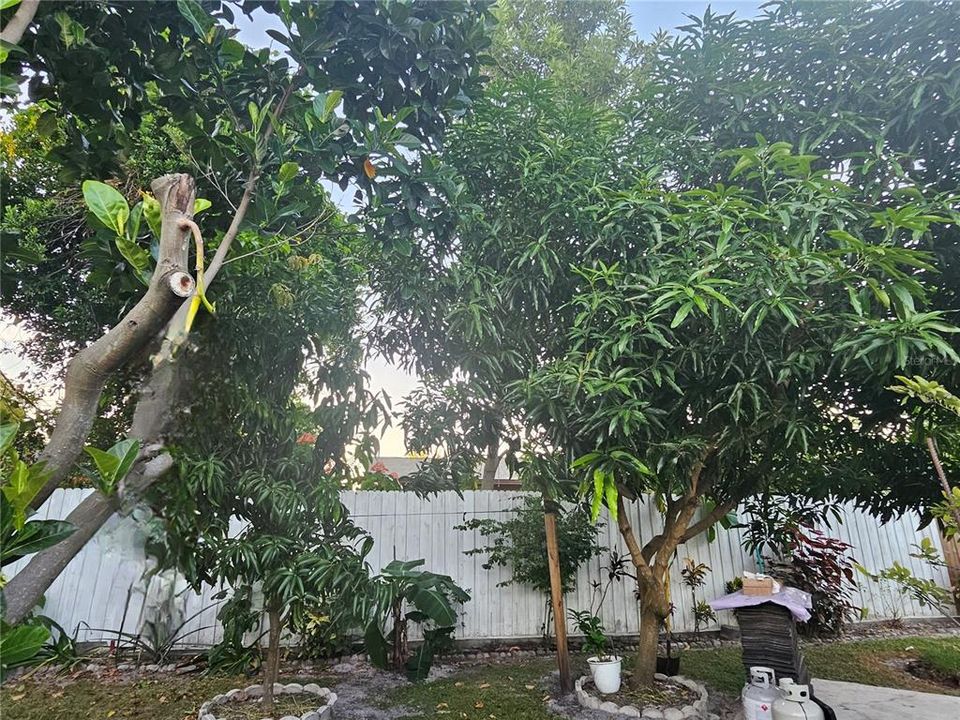 Active With Contract: $370,000 (3 beds, 2 baths, 1700 Square Feet)