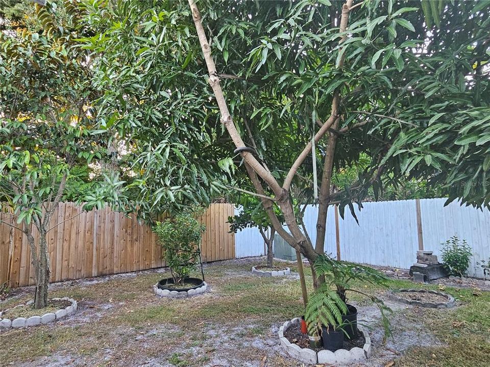 Active With Contract: $370,000 (3 beds, 2 baths, 1700 Square Feet)