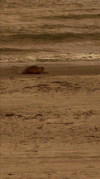 For Sale: $2,600,000 (3 beds, 3 baths, 3015 Square Feet)