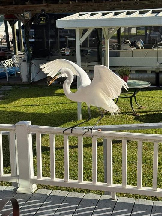 For Sale: $120,000 (0.04 acres)