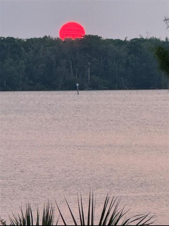 For Sale: $120,000 (0.04 acres)