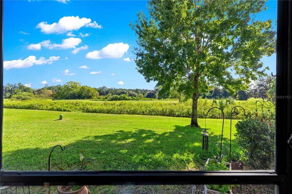 Activo con contrato: $115,000 (2 camas, 1 baños, 784 Pies cuadrados)