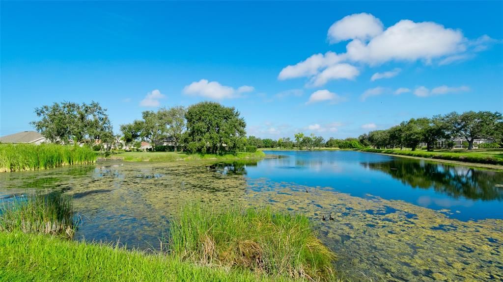 Active With Contract: $565,000 (3 beds, 2 baths, 1889 Square Feet)