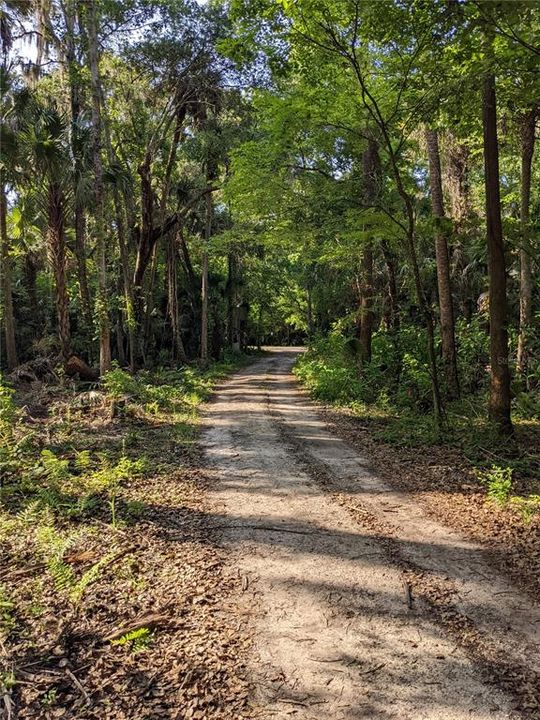 For Sale: $400,000 (4.86 acres)