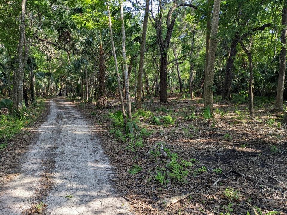 For Sale: $400,000 (4.86 acres)