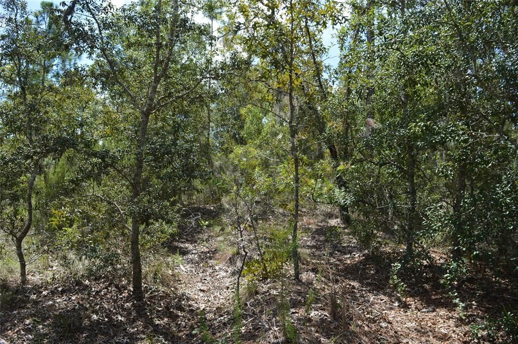 Active With Contract: $25,000 (1.00 acres)