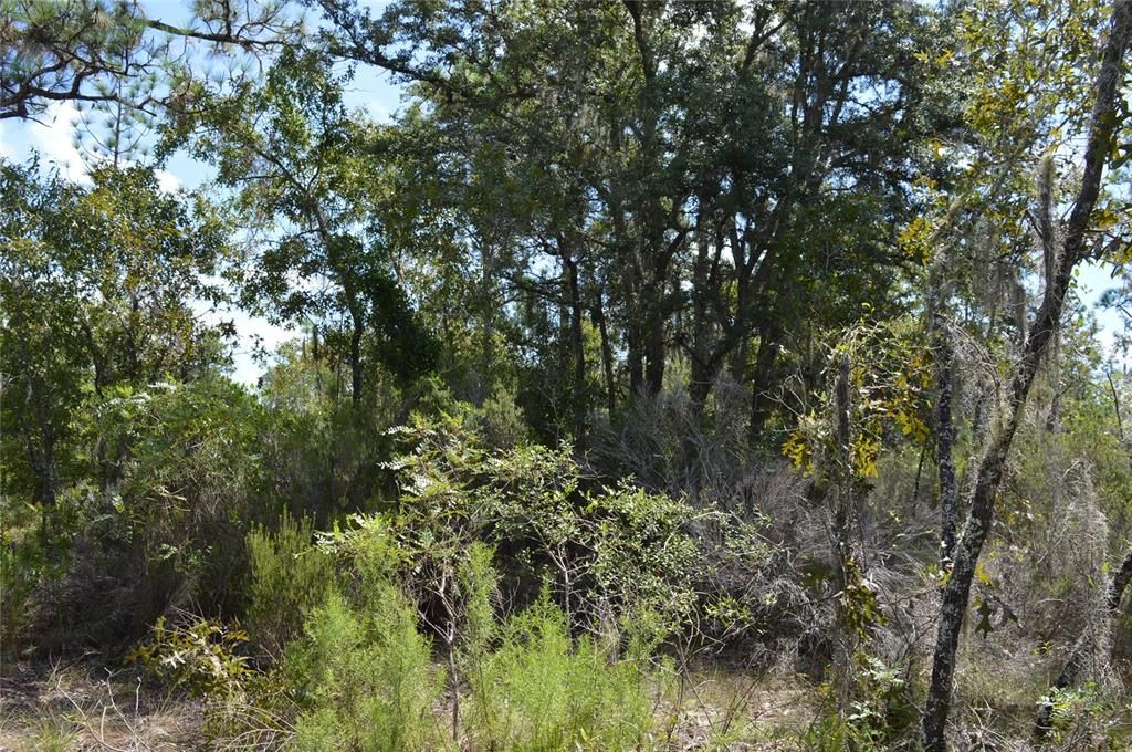 Active With Contract: $25,000 (1.00 acres)