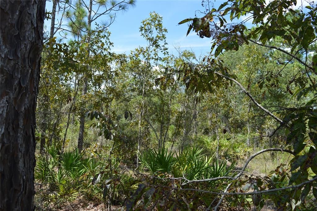 Active With Contract: $25,000 (1.00 acres)