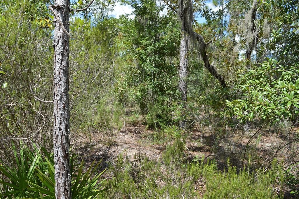 Active With Contract: $25,000 (1.00 acres)