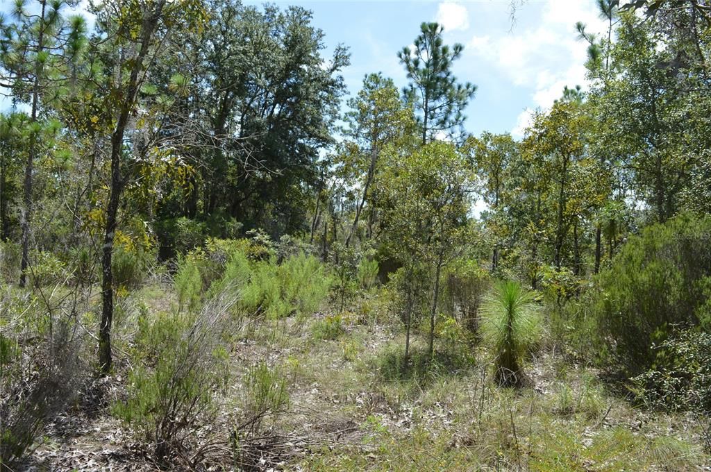Active With Contract: $25,000 (1.00 acres)