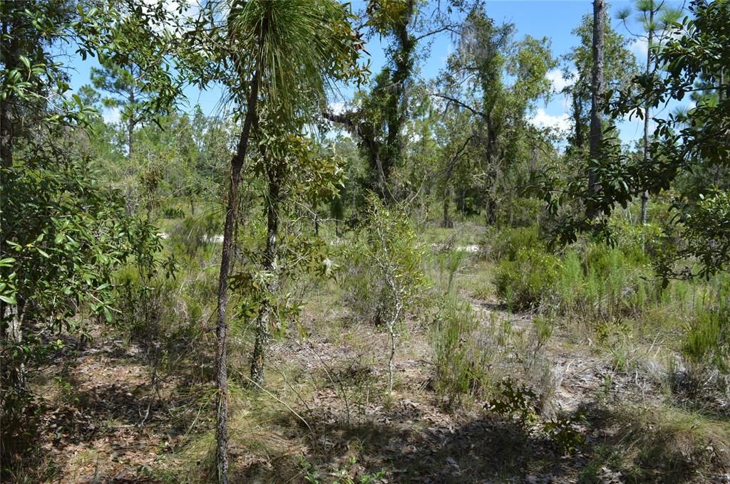 Active With Contract: $25,000 (1.00 acres)