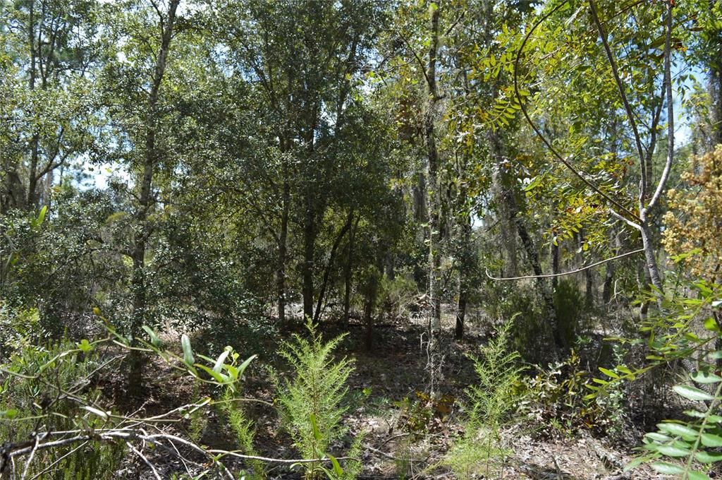 Active With Contract: $25,000 (1.00 acres)