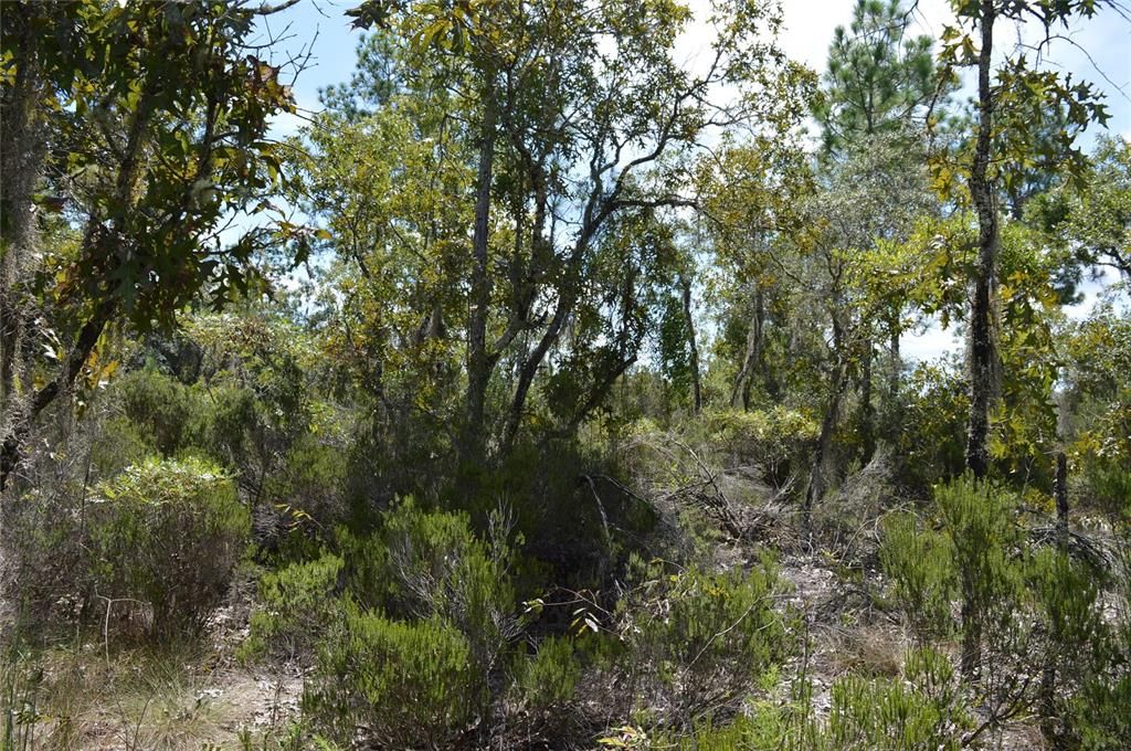 Active With Contract: $25,000 (1.00 acres)