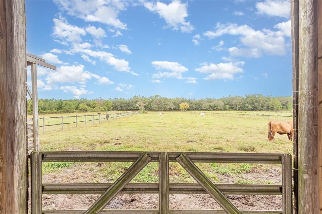 待售: $1,500,000 (10.00 acres)