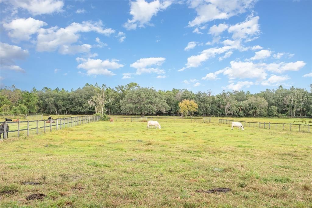 待售: $1,500,000 (10.00 acres)