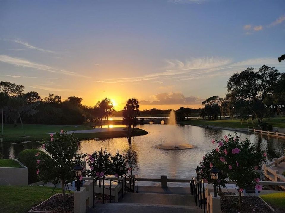 For Sale: $89,500 (0.32 acres)