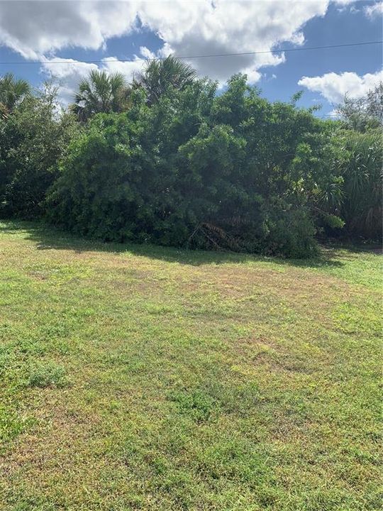 В аренду: $1,600 (3 спален, 2 ванн, 1309 Квадратных фут)