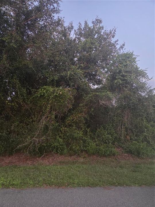 Activo con contrato: $15,000 (0.23 acres)