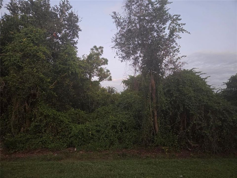 Activo con contrato: $15,000 (0.23 acres)